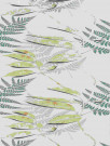 FOLIUM CARTA DA PARATI 