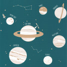 OUR PLANET CARTA DA PARATI