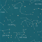 OUR PLANET CARTA DA PARATI