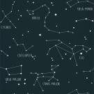 OUR PLANET CARTA DA PARATI