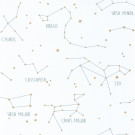 OUR PLANET CARTA DA PARATI