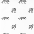 OUR PLANET CARTA DA PARATI