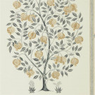 CASPIAN,SANDERSON CARTA DA PARATI