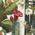 CARTA DA PARATI TIERRA