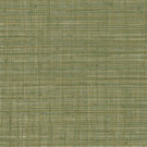 CARTA DA PARATI TIERRA