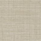 CARTA DA PARATI TIERRA