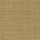 CARTA DA PARATI TIERRA