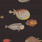 ACQUARIO FORNASETTI CARTA DA PARATI