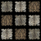 ROBERTO CAVALLI 8 CARTA DA PARATI