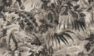 ANTIGUA CARTA DA PARATI