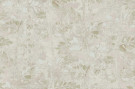TERRA CARTA DA PARATI
