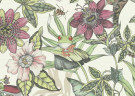 BLOOMS CARTA DA PARATI