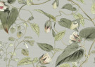 BLOOMS CARTA DA PARATI