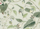 BLOOMS CARTA DA PARATI