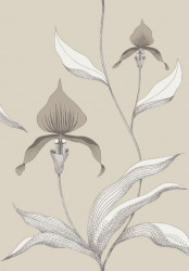 CONTEMPORARY RESTYLED CARTA DA PARATI