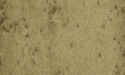 LUSH VELLUTO MURALE