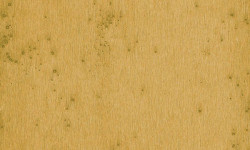 LUSH VELLUTO MURALE