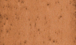 LUSH VELLUTO MURALE