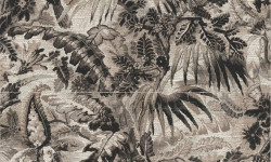 ANTIGUA CARTA DA PARATI