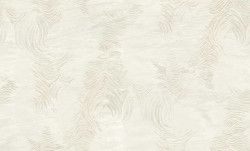 ROBERTO CAVALLI 9 CARTA DA PARATI