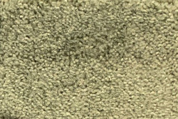 REFLEX MOQUETTE IN VELLUTO