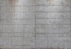 GIGANTOGRAFIA IN CARTA