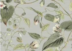 BLOOMS CARTA DA PARATI