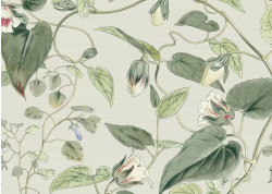 BLOOMS CARTA DA PARATI