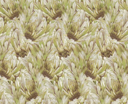 ROBERTO CAVALLI 9 CARTA DA PARATI
