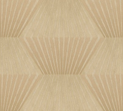 CARTA DA PARATI TITANIUM 3