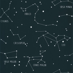 OUR PLANET CARTA DA PARATI