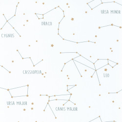 OUR PLANET CARTA DA PARATI