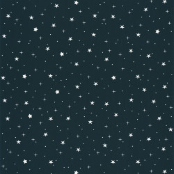 OUR PLANET CARTA DA PARATI