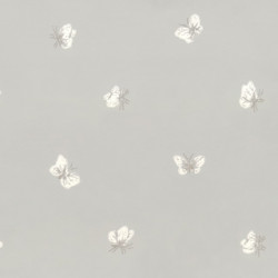 WHIMSICAL CARTA DA PARATI