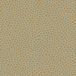THE ARDMORE COLLECTION CARTA DA PARATI