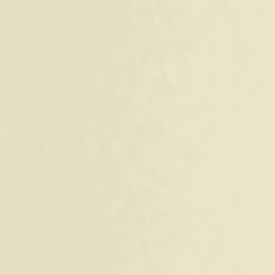 VEGETALS CARTA DA PARATI