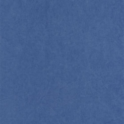 MEDITERRANEE CARTA DA PARATI