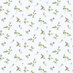 BLOOMING GARDEN CARTA DA PARATI