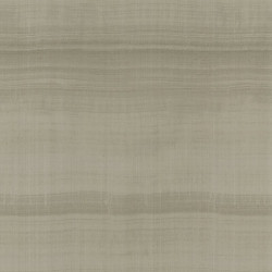 ARMANI FIBER 1 RIVESTIMENTO MURALE IN SETA 