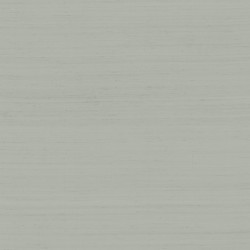 ARMANI FIBER 1 RIVESTIMENTO MURALE IN SETA 