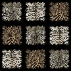 ROBERTO CAVALLI 8 CARTA DA PARATI