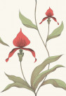 CONTEMPORARY RESTYLED CARTA DA PARATI