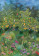 DAYDREAMS CARTA DA PARATI DIGITALE