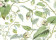 BLOOMS CARTA DA PARATI