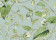 BLOOMS CARTA DA PARATI